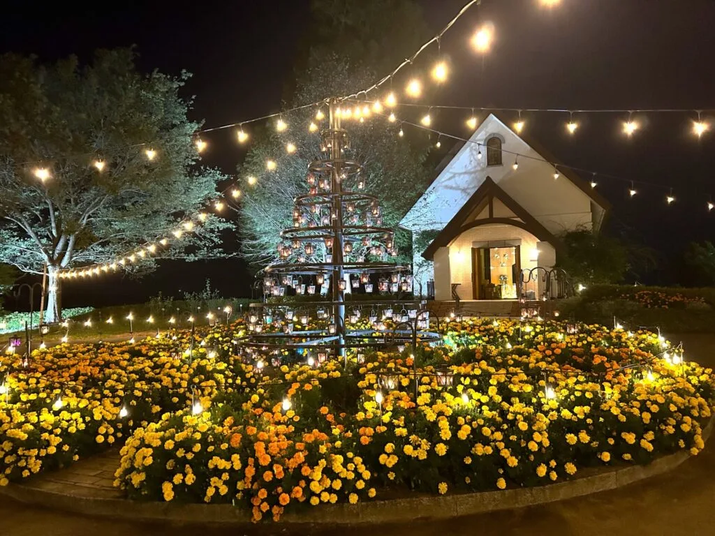 星あかり - やくらいガーデン｜東北最大級の花畑｜宮城県加美郡加美町