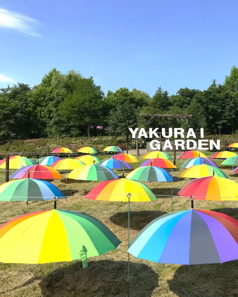 アンブレラスカイ - やくらいガーデン｜東北最大級の花畑｜宮城県加美