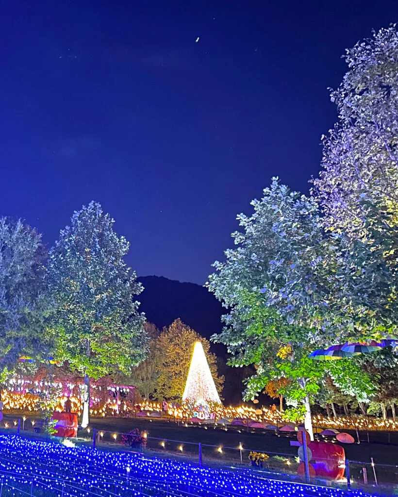 星あかり - やくらいガーデン｜東北最大級の花畑｜宮城県加美郡加美町