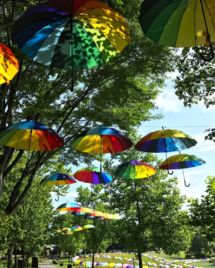 アンブレラスカイ - やくらいガーデン｜東北最大級の花畑｜宮城県加美